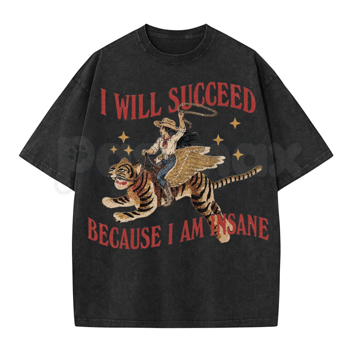 I Will Succeed Because I Am Insane Vintage Cowgirl Graphic Washed T-Shirt โ Retro Rodeo Western Graphic Tee, Acid Wash Lightweight Cotton Unisex Top