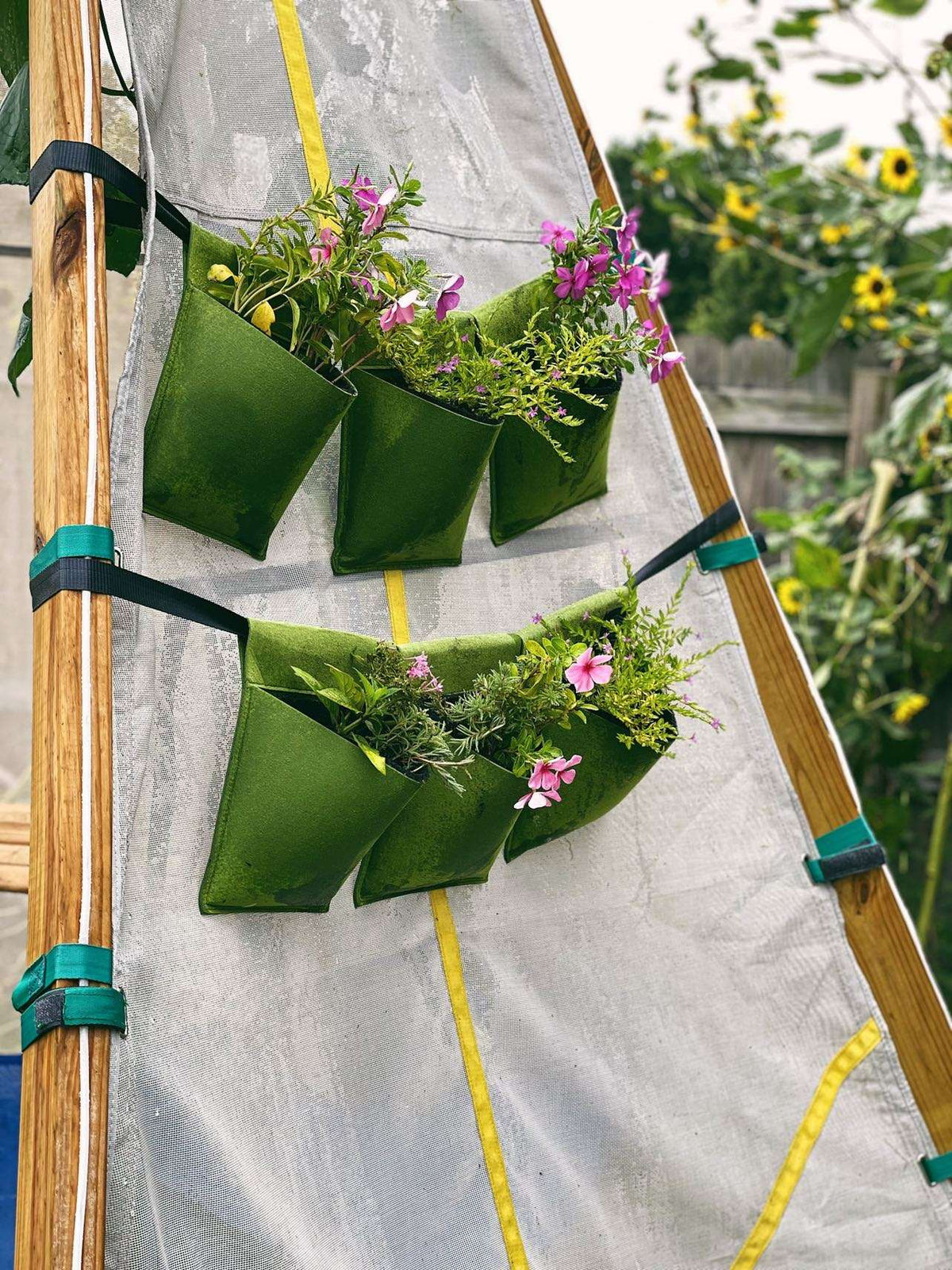 Bloom Hanging Planters