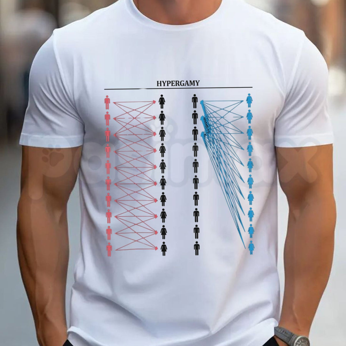 Hypergamy Meme Funny Dating Strategy T-Shirt – Sarcastic Relationship Humor Tee