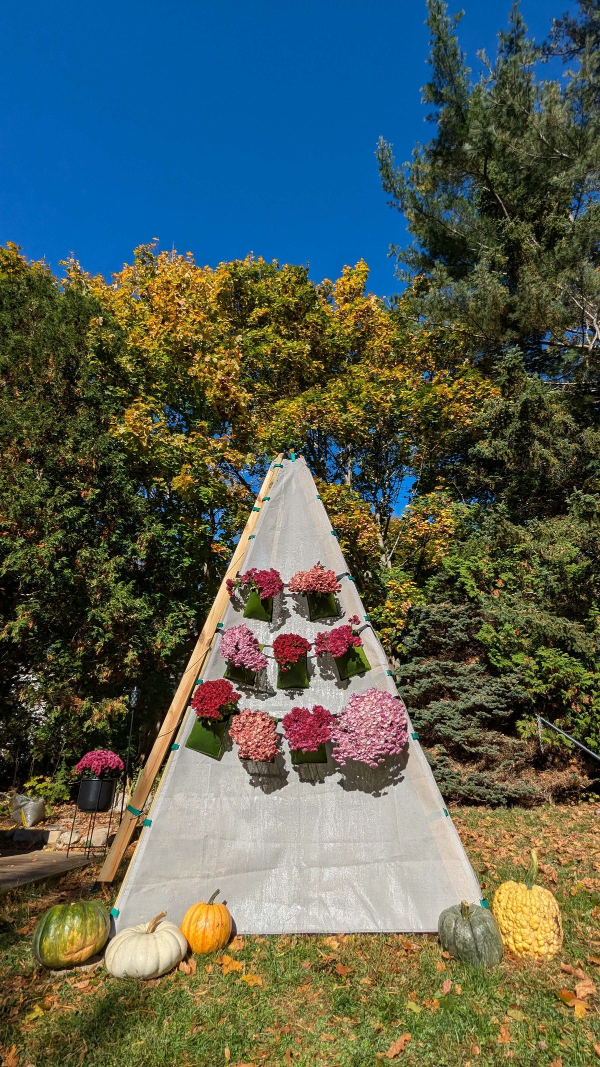Bloom Hanging Planters