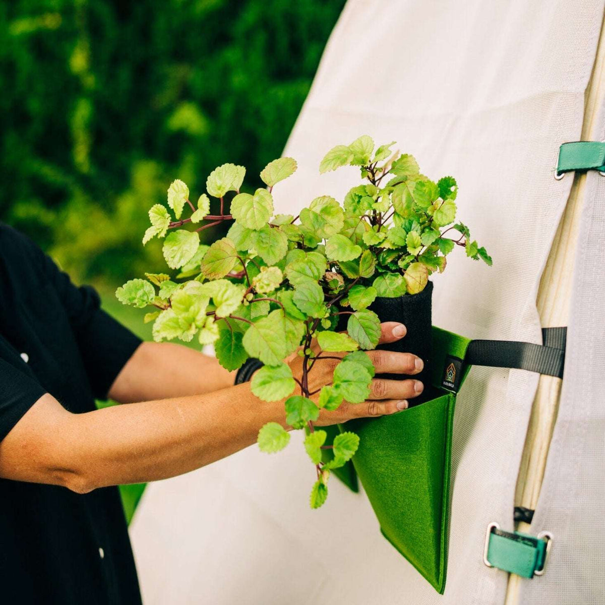 Bloom Hanging Planters